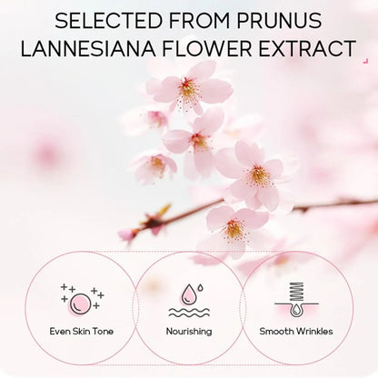 Sakura Full Ritual Collection — 24-Piece Complete Skincare Set