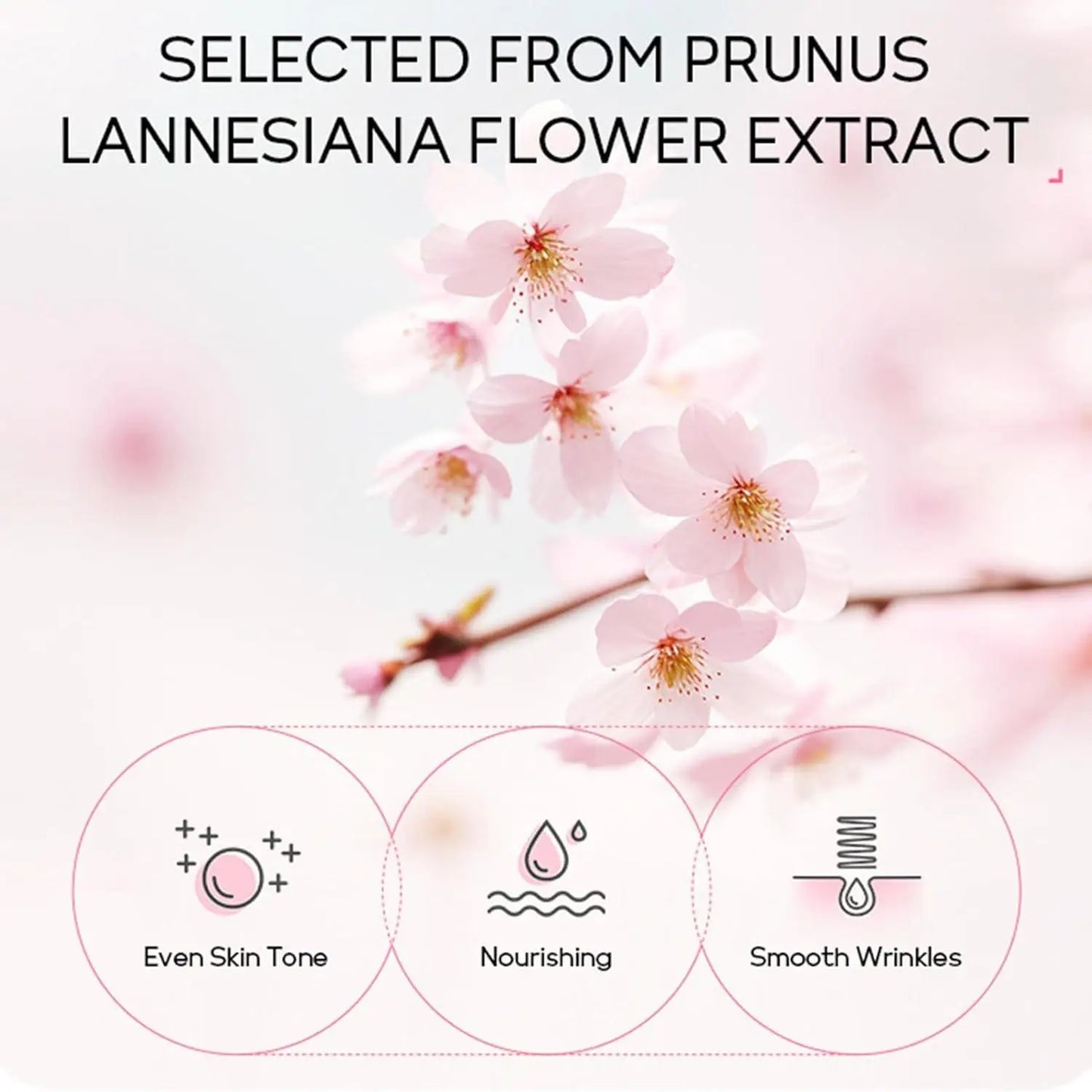 Sakura Full Ritual Collection — 24-Piece Complete Skincare Set