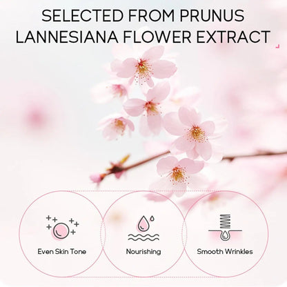 Sakura Full Ritual Collection — 24-Piece Complete Skincare Set